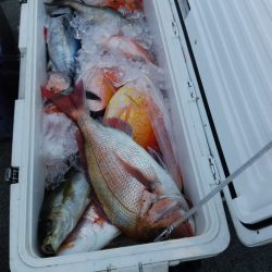 第二大福丸 釣果