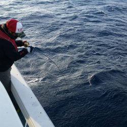 第五慶門丸 釣果