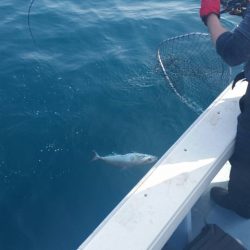 第五慶門丸 釣果