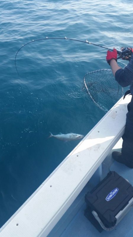 第五慶門丸 釣果