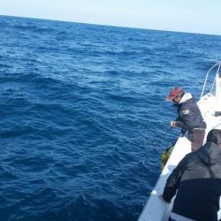 第五慶門丸 釣果