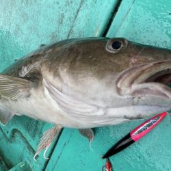 広進丸 釣果
