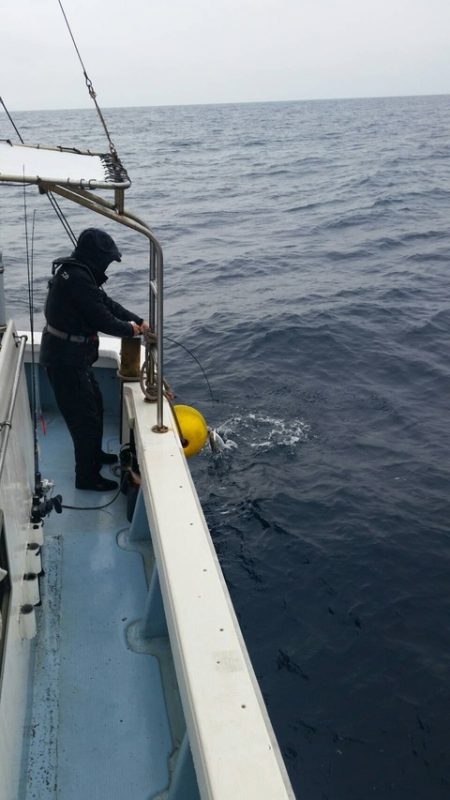 第五慶門丸 釣果