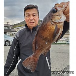 桑田観光 釣果