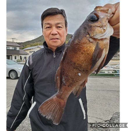 桑田観光 釣果