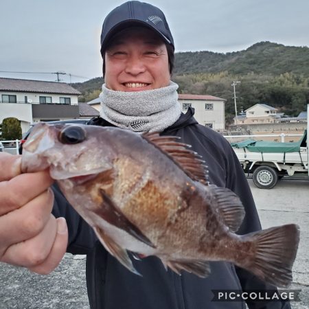 桑田観光 釣果