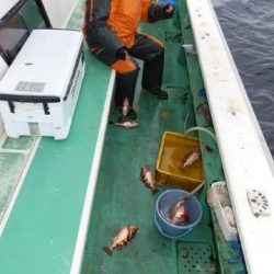 第二むつ漁丸 釣果