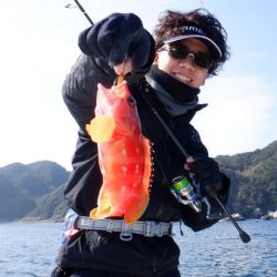 開進丸 釣果