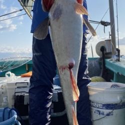 広進丸 釣果