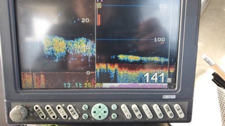 遊漁船　ニライカナイ 釣果