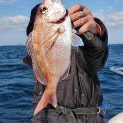 遊漁船　ニライカナイ 釣果