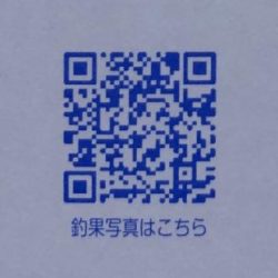 フィッシング サンクチュアリ 釣果