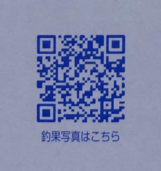 フィッシング サンクチュアリ 釣果