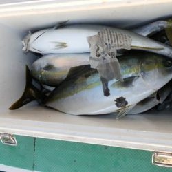 第二むつ漁丸 釣果