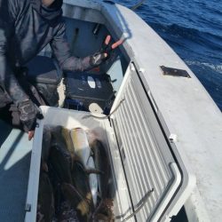 第五慶門丸 釣果