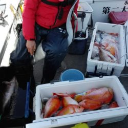 第二大福丸 釣果