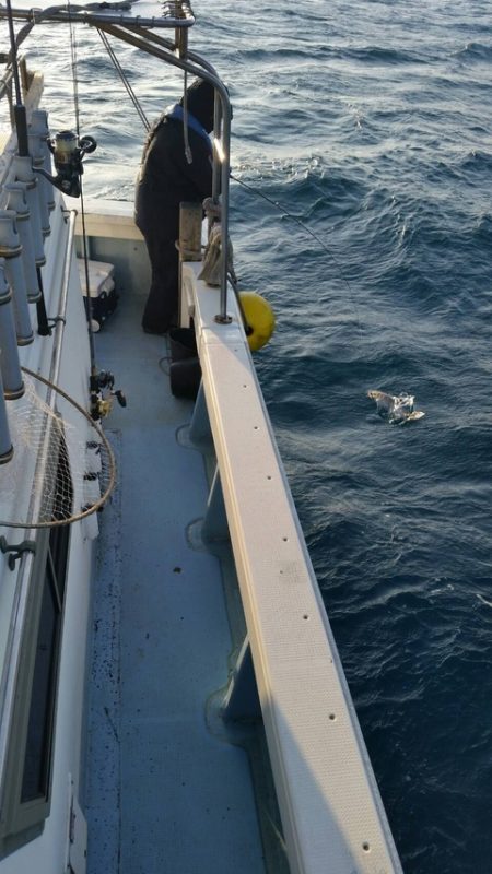 第五慶門丸 釣果