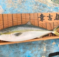 幸吉丸 釣果