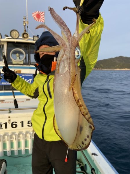 シードリーム 釣果