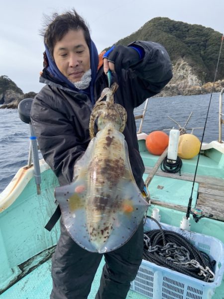 シードリーム 釣果