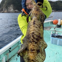 シードリーム 釣果