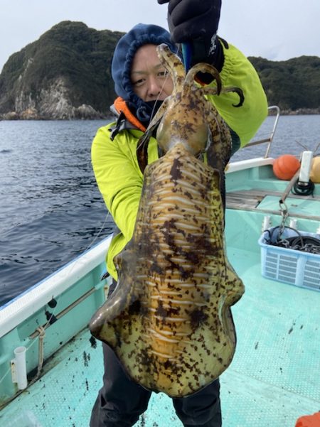 シードリーム 釣果