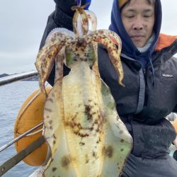 シードリーム 釣果