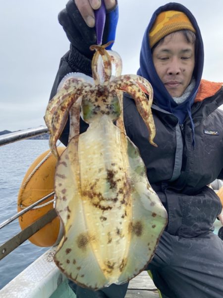 シードリーム 釣果