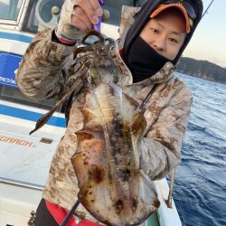 シードリーム 釣果