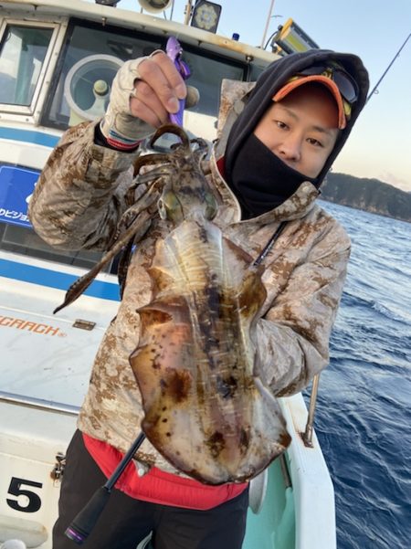 シードリーム 釣果