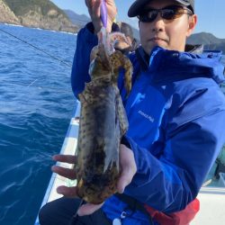 シードリーム 釣果