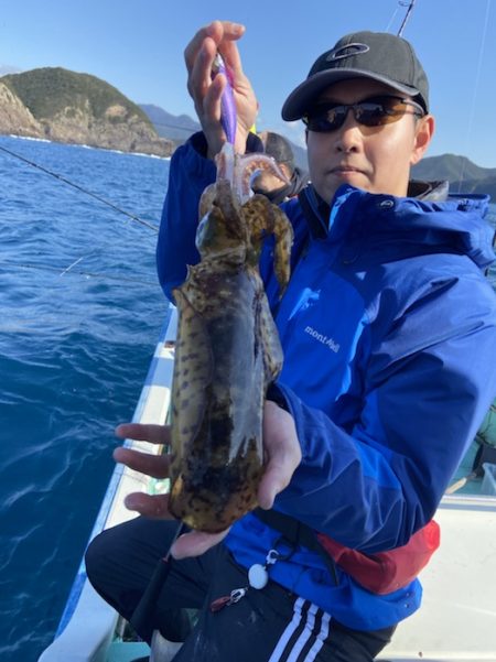 シードリーム 釣果