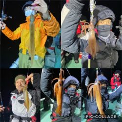 シードリーム 釣果