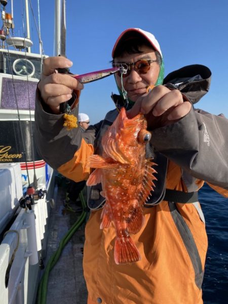 たいし丸 釣果
