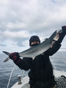 シーモンキー 釣果