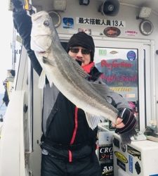 シーモンキー 釣果