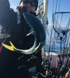 シーモンキー 釣果