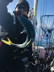 シーモンキー 釣果