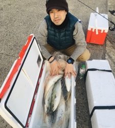 シーモンキー 釣果