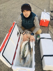 シーモンキー 釣果