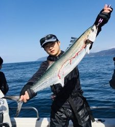 シーモンキー 釣果