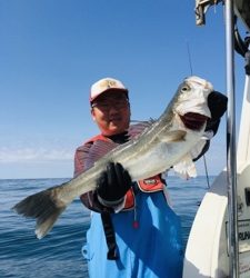 シーモンキー 釣果