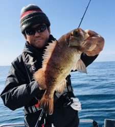 シーモンキー 釣果