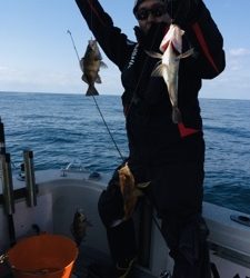 シーモンキー 釣果