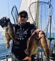 シーモンキー 釣果