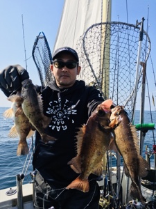 シーモンキー 釣果