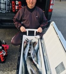 シーモンキー 釣果