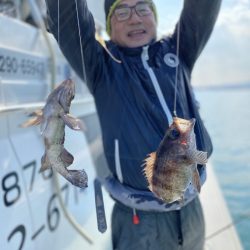 リトルワン 釣果