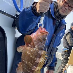 リトルワン 釣果