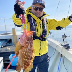 リトルワン 釣果